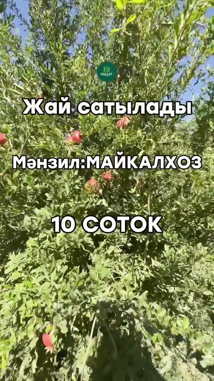 3 xanalı jay, May kolxoz, Nókis