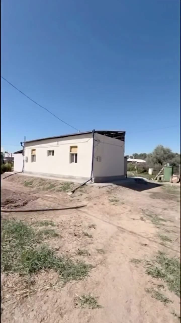 Jay, 60 jıllıq, Nókis