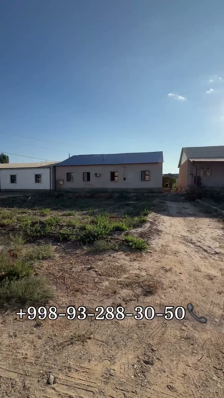 4 xanalı jay, Kebir awıl, Nókis
