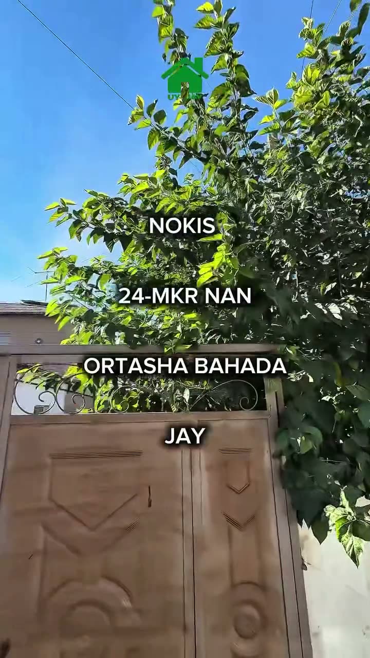 4 xanalı jay, 24-mkr, Nókis
